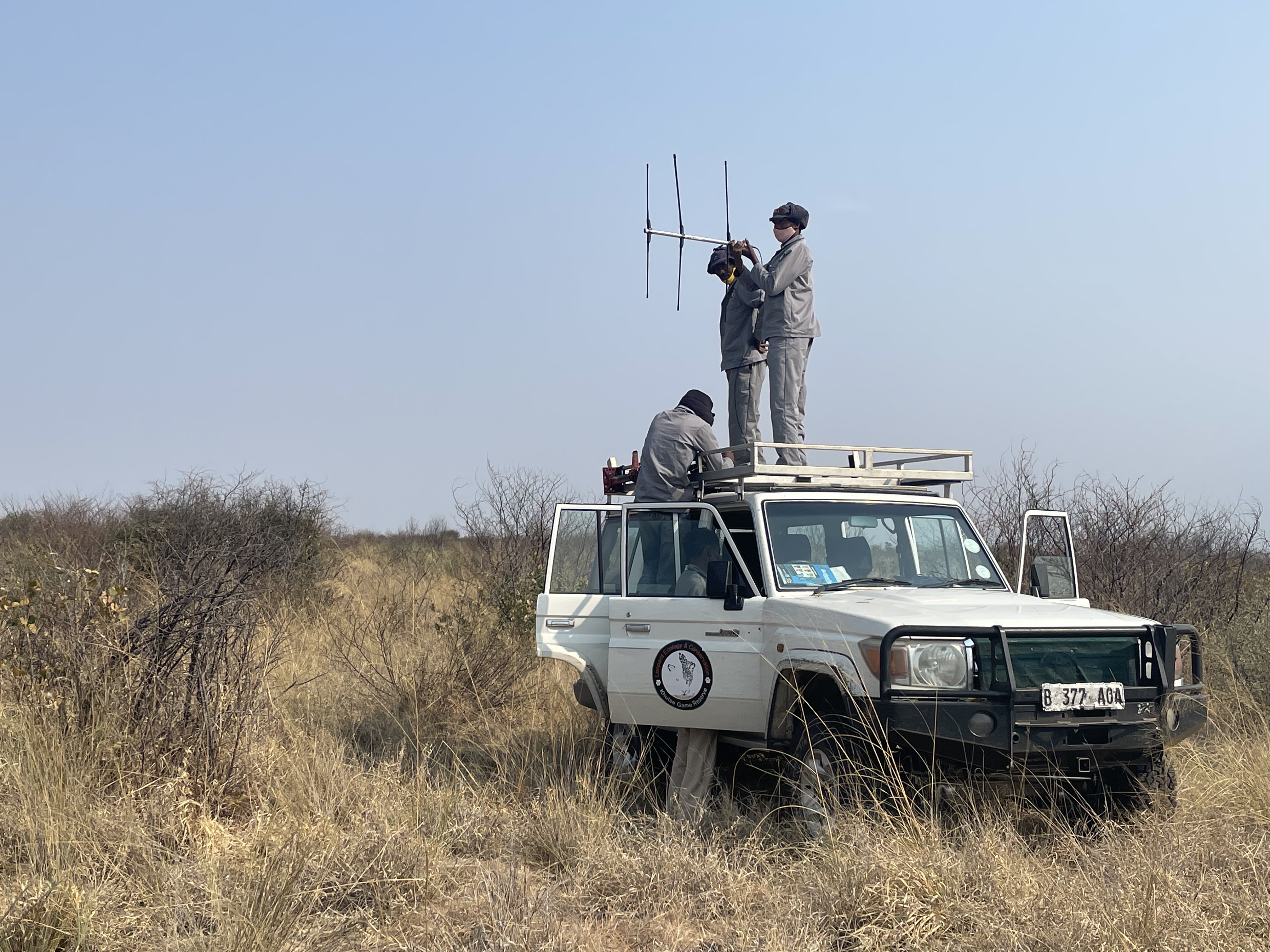 VHF telemetry and individual monitoring
