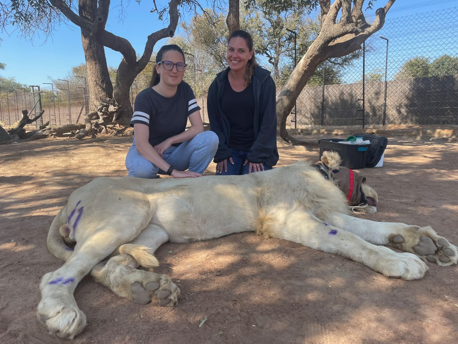 Programme co-leads during lion research